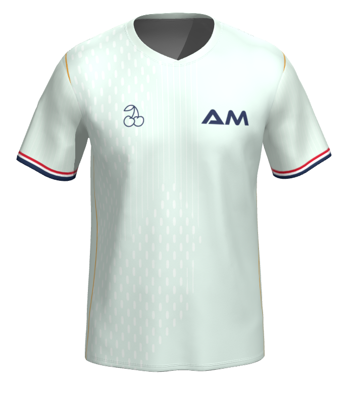 Camiseta FRANCIA SEGUNDA Mundial