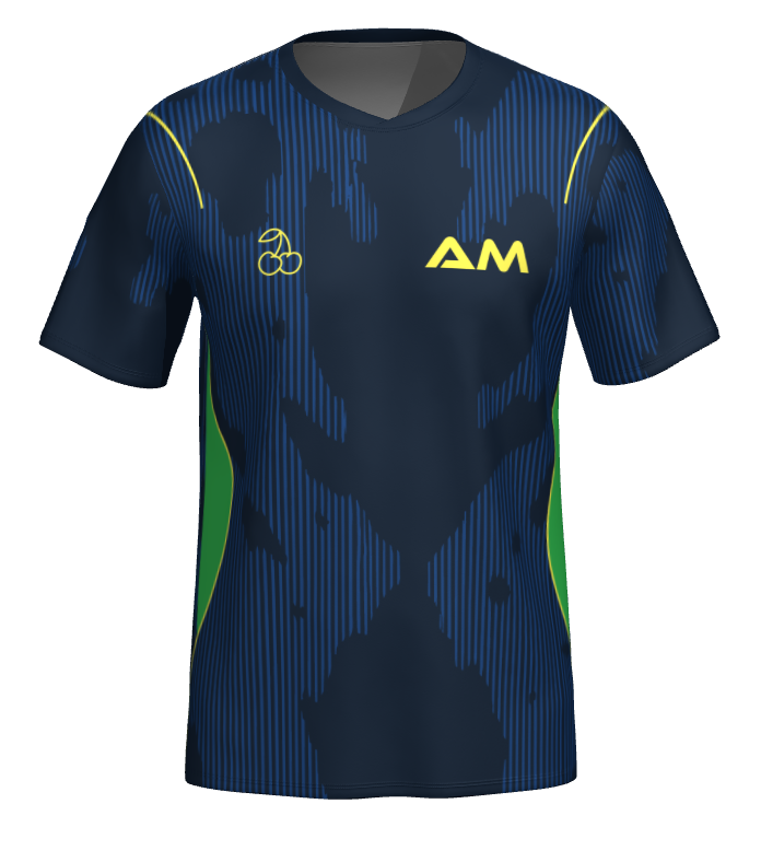 Camiseta BRASIL Mundial